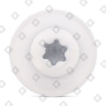 Art. 9087 A2 4,5X25 TX20 - RAL 9010 - №3